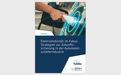 Elektromobilität im Fokus: Strategien zur Zukunftssicherung in der Automobilzulieferindustrie