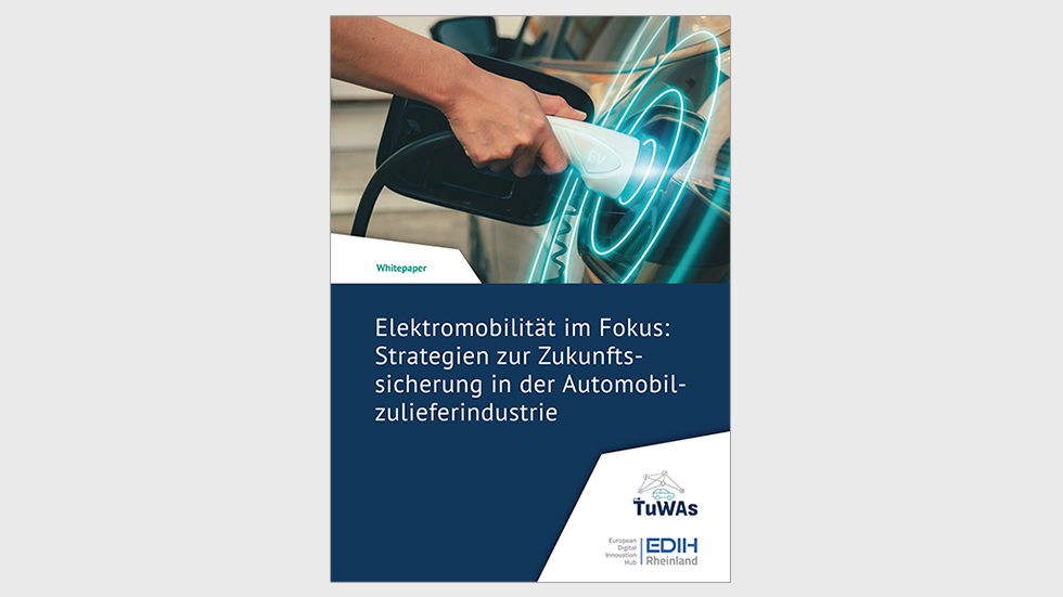 Elektromobilität im Fokus: Strategien zur Zukunftssicherung in der Automobilzulieferindustrie